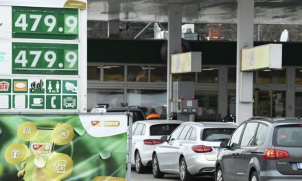 So gehen EU-Länder mit den hohen Energiepreisen um