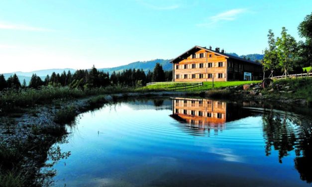 Waldbesitz als Geldanlage: Bäume verkaufen, Ruhe genießen
