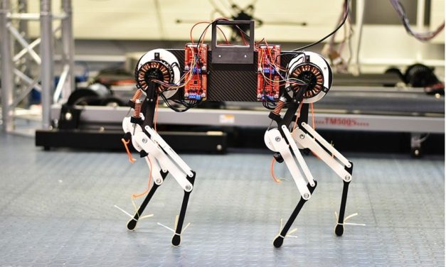 „Morti“: Roboterhund brachte sich in nur einer Stunde das Gehen bei