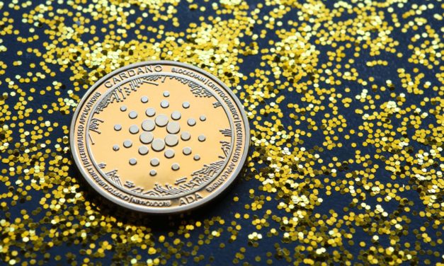 Vor Vasil: Cardano hat die höchste Entwicklerbeteiligung im Krypto-Space