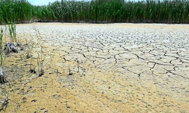 Was der Jetstream mit der Hitzewelle in Europa zu tun hat