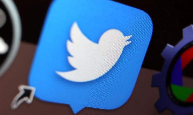 Umsatzrückgang und hoher Verlust bei Twitter