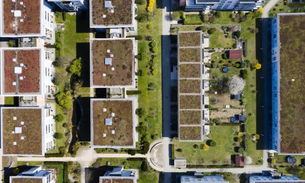 Kreislaufwirtschaft: Alte Ziegel machen Dächer grün