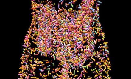 Mikrobiologe Gordon: „Wir brauchen einen neuen Blick auf Ernährung“