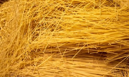 Italien will Mehrwertsteuer auf Brot und Nudeln abschaffen