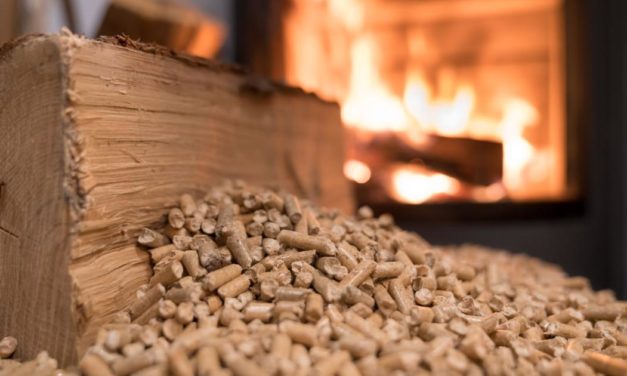 Kachelofen anheizen: Brennholz ist das neue Klopapier